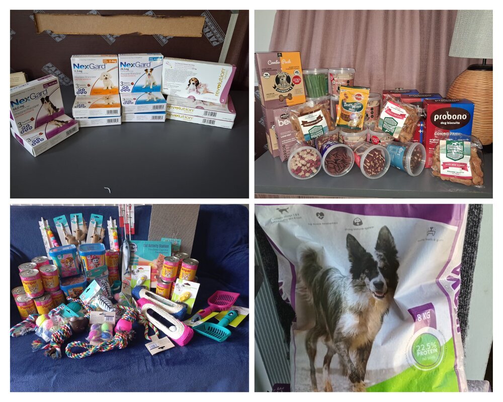 Community Animal Rescue Scoiety